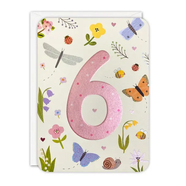 6Th Birthday Butterfly Theme Party Pack 1