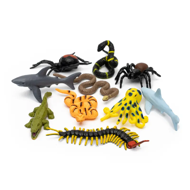 Australia’S Deadliest Wildlife Educational Tube 1