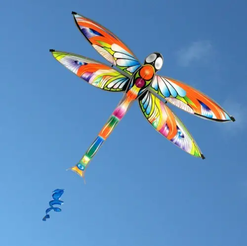 Dragonfly Single-String Kite – Lightweight Outdoor Flying Toy 1