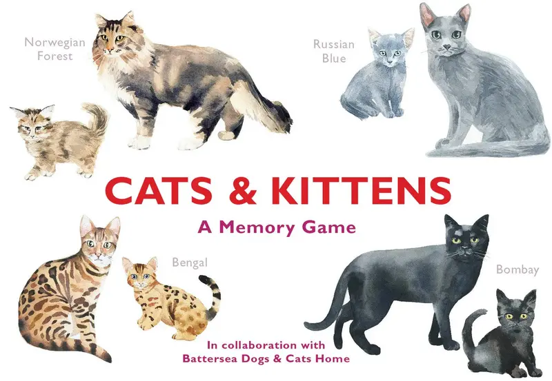 Feline Friends: Cats & Kittens Picture Book And Puzzle Set 1