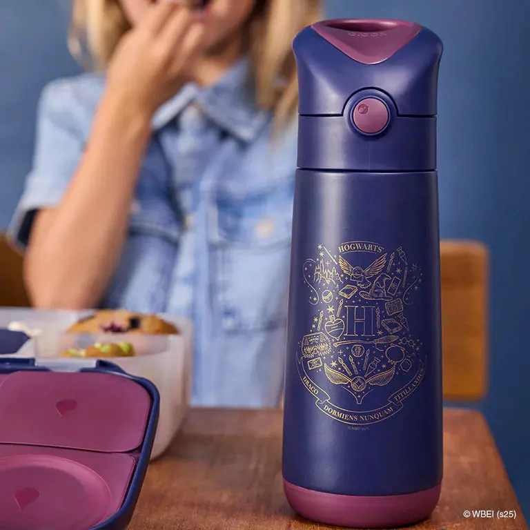 Harry Potter-Themed 500Ml Vacuum-Insulated Water Bottle 2