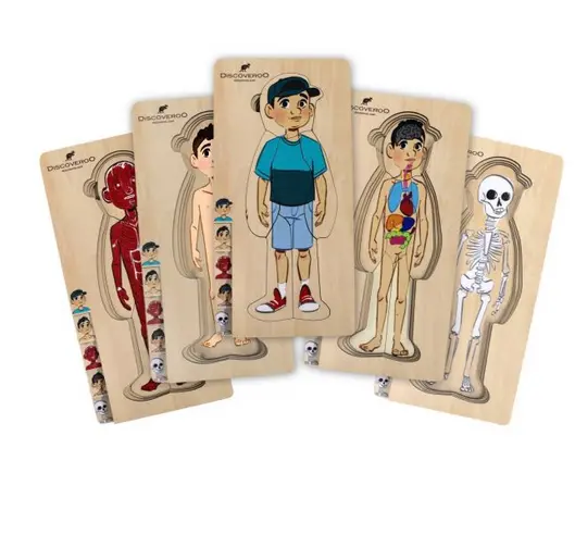 Layered Human Anatomy Puzzle – Boy Edition 1