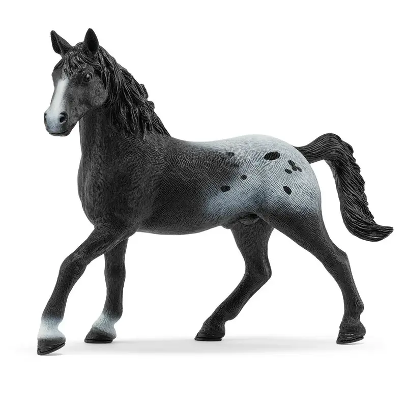 Limited Edition Knabstrupper Stallion Model 1