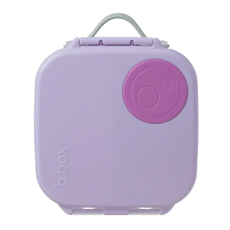 Mini Lunchbox With Sugar Plum Aesthetic 1