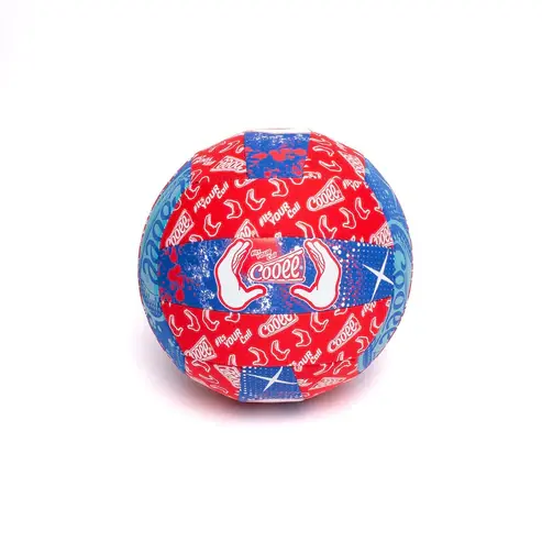 Red Indoor/Outdoor Volleyball 1