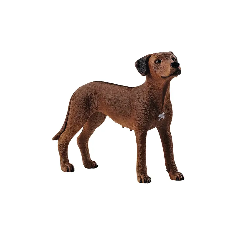 Rhodesian Ridgeback Breed-Themed Toy Or Gift 1