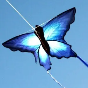 Single-Line Blue Butterfly Kite – Lightweight Outdoor Toy 1