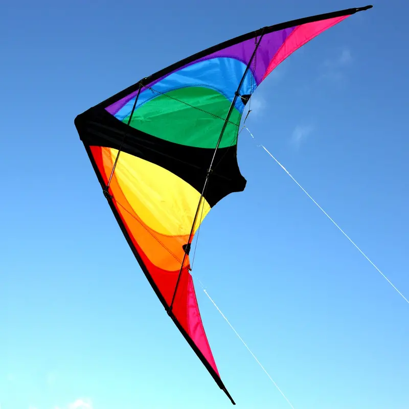 Stinger Dual-Control Twister Kite – Responsive Flying Toy 1
