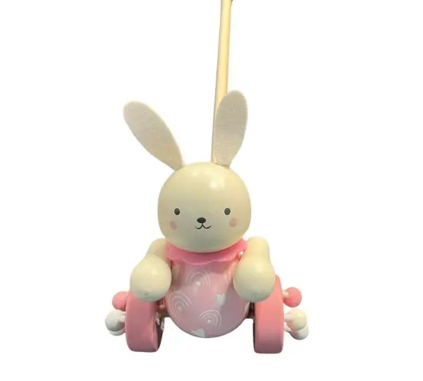 Wheeled Push-Along Bunny Toy 1