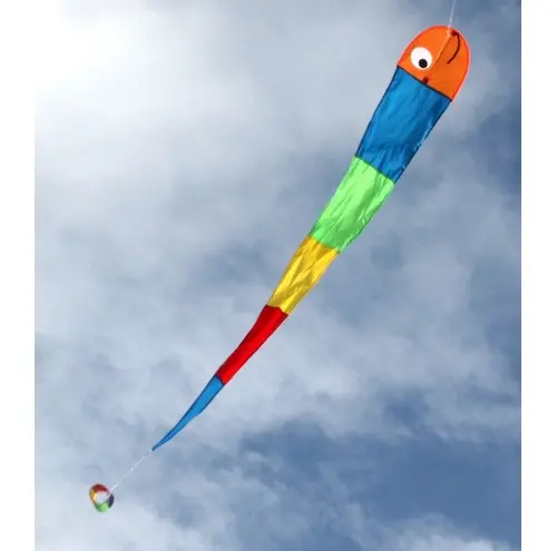 Wilma The Worm Kite – Friendly Single-Line Flying Toy 1