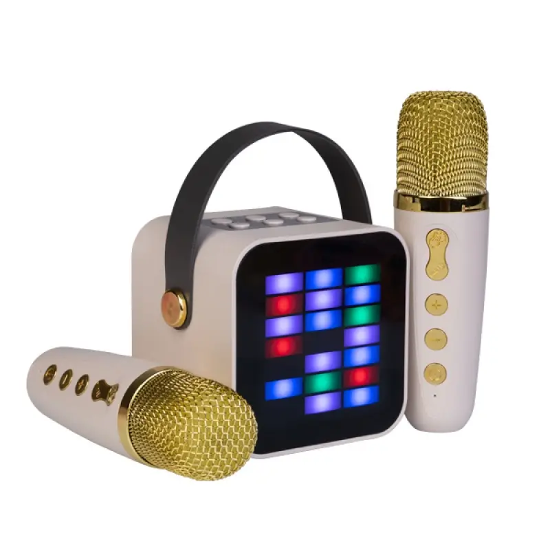 Wireless Dual-Mic Karaoke System 1